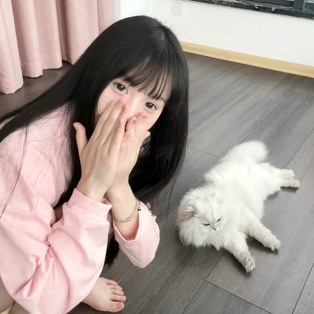 郑板桥粤语